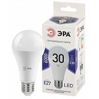 Лампа светодиодная LED A65-30W-860-E27 A65 30Вт груша E27 холод. бел. | Код. Б0048017 | ЭРА