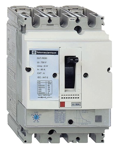 Автоматический выключатель с комбинированным расцепителем 60-100А 36КА | код GV7RE100 | Schneider Electric 