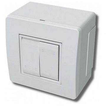 Коробка в сборе с 2-клавишным выключателем, белая (упак. 14шт) | код. 10001 |  DKC