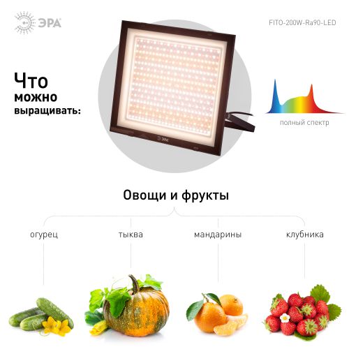 Фитопрожектор для растений светодиодный FITO-200W-Ra90-LED полного спектра, профессиональный 200 Вт | код Б0059879 | ЭРА фото 2 Фитопрожектор для растений светодиодный FITO-200W-Ra90-LED полного спектра, профессиональный 200 Вт | код Б0059879 | ЭРА фото 2