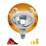 ИКЗ 220-250 R127 E27 Инфракрасная лампа ЭРА ИКЗ 220-250 R127 для обогрева животных 220-250 Вт Е27 | код Б0042991| ЭРА