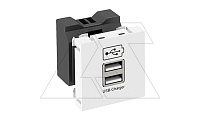 Мультимед. рамка MTG-2UC1.2 RW1 с разъемом 2xUSB, 2х600 мА, 2М, пр. вывод, белый, поликарб. | код 6105291 | OBO Bettermann