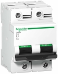 Выключатель автоматический двухполюсный C120N 125А C 10кА | код. A9N18363 | Schneider Electric 