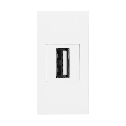 Noen - Розетка USB 2.0, двойной разъем, 1М, белая | код OR-GM-9010-W-USBDAT1 | ORNO Noen - Розетка USB 2.0, двойной разъем, 1М, белая | код OR-GM-9010-W-USBDAT1 | ORNO