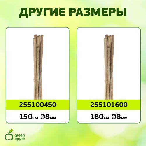Поддержка бамбуковая 180см 10мм набор 5шт GBS-10-180 | код Б0008339 | ЭРА фото 5 Поддержка бамбуковая 180см 10мм набор 5шт GBS-10-180 | код Б0008339 | ЭРА фото 5