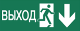 Пиктограмма ДСО-IP65-Н Выход Фигура - вниз 2 | код 60513DEK | DEKraft