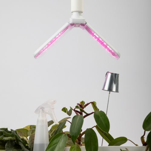 Фитолампа для растений светодиодная GREEN LINE ФИТО-20W-PL-E27-GR 2-х лепестковая красно-синего спектра 24 Вт Е27 | код Б0064517 | ЭРА фото 3 Фитолампа для растений светодиодная GREEN LINE ФИТО-20W-PL-E27-GR 2-х лепестковая красно-синего спектра 24 Вт Е27 | код Б0064517 | ЭРА фото 3