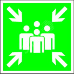 Знак безопасности NPU-2424.E21''''Пункт (место) сбора'''''' | код NPU-2424.E21 | Белый свет