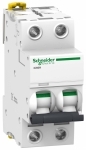 Выключатель автоматический двухполюсный iC60H 6А D 10кА | код. A9F85206 | Schneider Electric 