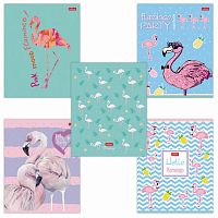 Тетрадь 18 л. HATBER скоба, клетка, обложка картон, тиснение, Фламинго (5 видов в спайке), 18Т5тВ1 | код 403662 | HATBER