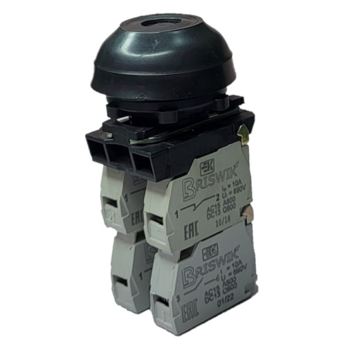 Выключатель Briswik КЕ 082/5м черный 0но+4нз Цилиндр с наружным протектором IP66 УХЛ2 10А | код aZ-DB-3Ai-0145 | Briswik Выключатель Briswik КЕ 082/5м черный 0но+4нз Цилиндр с наружным протектором IP66 УХЛ2 10А | код aZ-DB-3Ai-0145 | Briswik