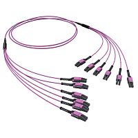 Оптическая разветвительная сборка 12ОВ 50/125 OM4, 6хLC Duplex Uniboot/6хLC Duplex Uniboot, 10м | код RNFLL12410 | DKC