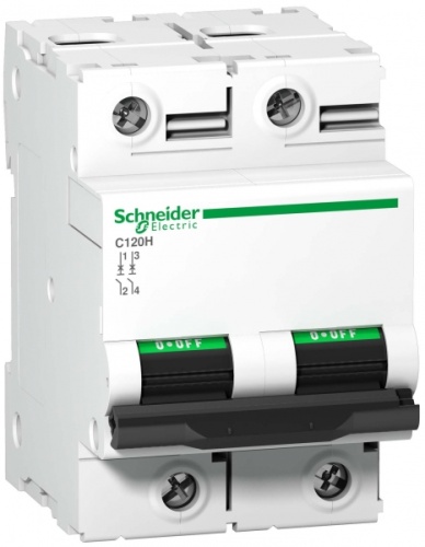 Выключатель автоматический двухполюсный C120H 100А C 15кА | код. A9N18458 | Schneider Electric 