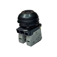 Выключатель Briswik КЕ 081/3м черный 0но+2нз Цилиндр с наружным протектором IP66 УХЛ2 10А | код aZ-DB-3Ai-0123 | Briswik