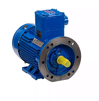 Электродвигатель 250 M2 У1, 380/660В, 1ExdIIBT4 Gb, IE3-94,3%, РТС (статор), без сервисного и силового кабельных вводов, подшипники SKF, SDN, IM B3 55/3000 Орлан (АИМУ) | код 01.02.02.2.000054 | ESQ