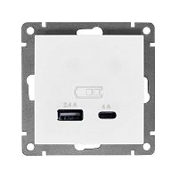 Розетка 2-м USB СП Афина 5В тип А(2.4А)+С(4А) механизм бел. | код А0059 | Universal