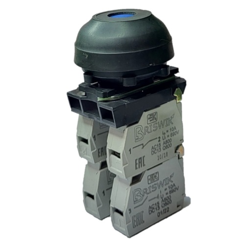 Выключатель Briswik КЕ 082/1м синий 4но+0нз Цилиндр с наружным протектором IP66 УХЛ2 10А | код aZ-DB-3Ai-0541 | Briswik