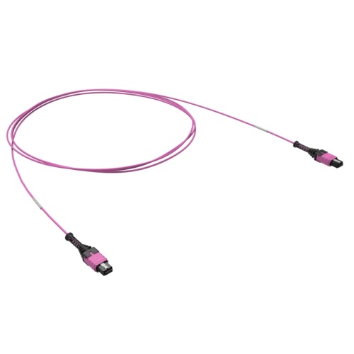 Патчкорд 12ОВ 50/125 OM4, 1xMTP PRO (12)/1xMTP PRO(12), 1м | код RNPCFF124B01 | DKC