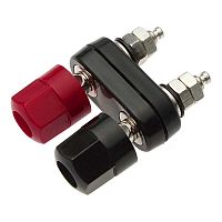 Гнездо RUICHI 10-0066, сдвоенное гнездо на панель | код 69998 | Ruichi