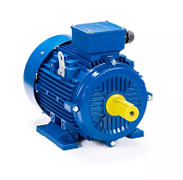 Электродвигатель 200 L4-SDN- IM B3 30/1500 Китай (ESQ) | код 01.05.221588 | ESQ