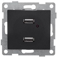 GUSI Bravo механизм розетки USB, двойной, скрытая установка. Цвет графит. | код С10USB2-010 | GUSI ELECTRIC