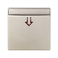 Накладка на 26526-; 26550-39; 75558-39 Simon82/82Nature шампань 82078-64