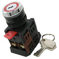 Ключ выключатель RUICHI 3SA12-22E-11Y/21, NO+NC, 10 А, 600 В, IP40, винтовой зажим | код 71628 | Ruichi