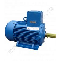 Электродвигатель 160 S6 У1, 380/660В, 1ExdIIBT4 Gb, IM 1081 11/1000 Орлан (АИМУ) | код 01.02.02.000377 | ESQ