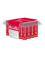 Элемент питания алкалиновый AA/LR6 1.5В Energy Alkaline 2021 Pack-24 (уп.24шт) | код 5029842 | DAEWOO