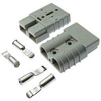 PS350 | код 116406 | Ruichi