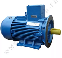 Электродвигатель 225 М8 У1, 380/660В, 1ExdIIBT4 Gb, IM 2001 30/750 Орлан (АИМУ) | код 01.02.02.001804 | ESQ