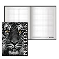 Блокнот МАЛЫЙ ФОРМАТ (110х147 мм) А6, 80 л., ламинированная обложка, выборочный лак, клетка, BRAUBERG, Тигровый, 123244 | код 123244 | BRAUBERG