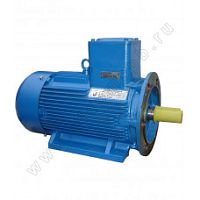 Электродвигатель 160 М2 У1, 380/660В, 1ExdIIBT4 Gb, IM 2081 18.5/3000 Орлан (АИМУ) | код 01.02.02.000397 | ESQ