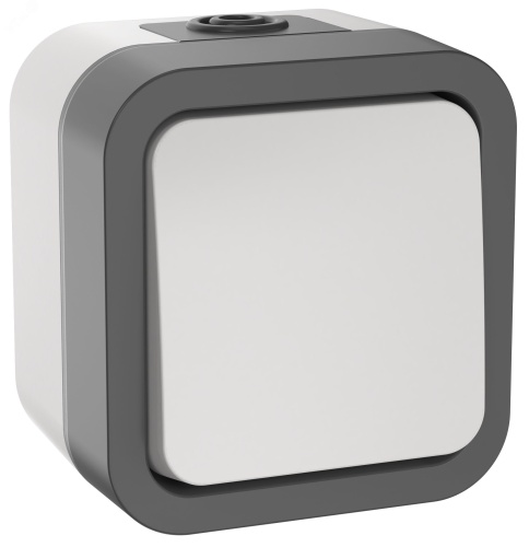 Переключатель 1-кл. ОП TORS 10А IP55 TS201 бел. | код TS-V10-0-10-55-K41 | IEK Переключатель 1-кл. ОП TORS 10А IP55 TS201 бел. | код TS-V10-0-10-55-K41 | IEK