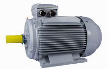Электродвигатель 355 MВ2-SDN-Б1-S12-IE3 IM B3 315/3000 Китай (ESQ PR) | код 01.05.02.000156 | ESQ