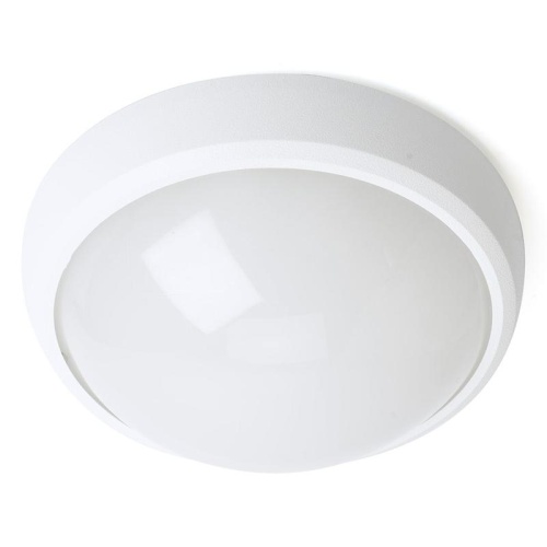 Светильник светодиодный ДБП-12w 4000К 960Лм IP54 круглый белый | код 51163 | Feron