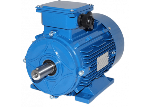 Электродвигатель 100 LB2-SDN-IE2 IM B3 4/3000 Турция (ESQ TR) | код 01.05.223167 | ESQ