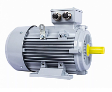 Электродвигатель 100 LB4-SDN-Б1-S12-IE2 IM B3 3/1500 Китай (ESQ PR) | код 01.05.02.000043 | ESQ