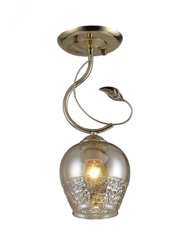 Светильник потолочный Kimberly 9111-201 1 * Е27 60 Вт модерн для натяжных потолков | код Б0053414 | Rivoli Светильник потолочный Kimberly 9111-201 1 * Е27 60 Вт модерн для натяжных потолков | код Б0053414 | Rivoli