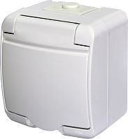 Розетка 1-я (Schuko) (белая крышка) (IP44/54) RHE-1s | код 004668015 | ETI