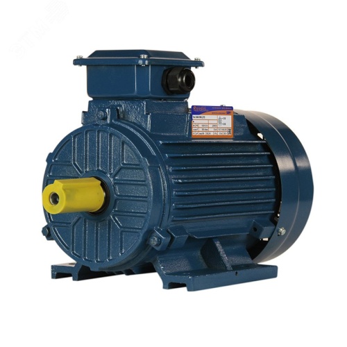 Электродвигатель 5АИ 100 L2 5.5/3000 IM 1081 | код 01.01.213567 | Элком Электродвигатель 5АИ 100 L2 5.5/3000 IM 1081 | код 01.01.213567 | Элком