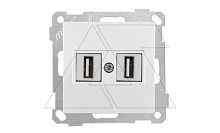 21 - Розетка 2xUSB Type A, для передачи данных, белая | код 2100-456-0101 | Mutlusan