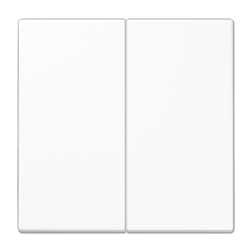 Клавиша 2-я для выключателей и кнопок без подсветки. Серия LS990 Материал- дуропласт Цвет- белый | код LS995WW | JUNG