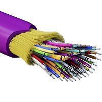 Кабель волоконно-оптический, распределительный, арамидные упрочняющие нити, для внутренней прокладки, нг(А)-HF, 48 ОВ, категория OM4 | код RNDT4C48MG01-E | DKC