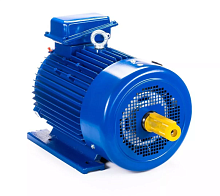 Электродвигатель 225 L8 IM 1003 37/750 Китай (5МТКН) | код 01.03.02.000755 | ESQ