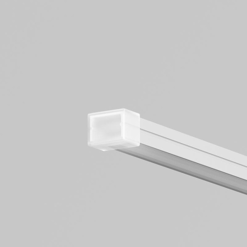 Заглушка для токоведущего светильника Elasity IP (уп.2шт) Maytoni O-TR001-SEC Заглушка для токоведущего светильника Elasity IP (уп.2шт) Maytoni O-TR001-SEC