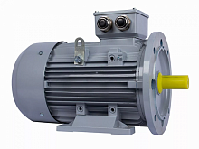 Электродвигатель 160 L2-SDN-Б1-S12-IE2 IM B35 18.5/3000 Китай (ESQ PR) | код 01.05.02.000022 | ESQ