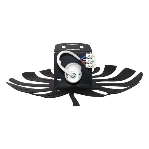 Светильник Монстера 512 черн.муар 330 х 275 НББ 01-60-174 Е14 ИМ настенный | код 1005405135 | Элетех