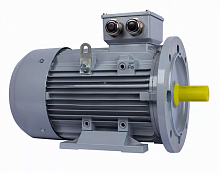 Электродвигатель 100 LB4-SDN-Б1-S12-IE2 IM B35 3/1500 Китай (ESQ PR) | код 01.05.02.000044 | ESQ