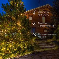 Гирлянда Нить 10 м, постоянное свечение, белый ПВХ, 230В, мультиколор | код 305-169 | Neon-Night